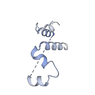 3551_5mrc_55_v1-2
Structure of the yeast mitochondrial ribosome - Class A