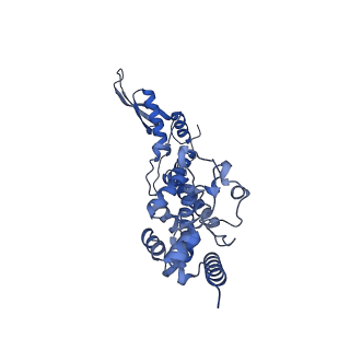 3551_5mrc_5_v1-2
Structure of the yeast mitochondrial ribosome - Class A
