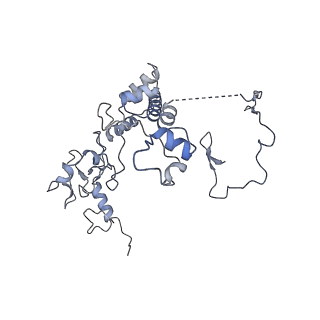 3551_5mrc_66_v1-2
Structure of the yeast mitochondrial ribosome - Class A