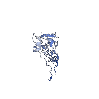 3551_5mrc_6_v1-2
Structure of the yeast mitochondrial ribosome - Class A