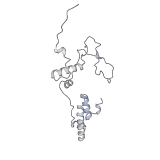 3551_5mrc_77_v1-2
Structure of the yeast mitochondrial ribosome - Class A