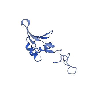 3551_5mrc_7_v1-2
Structure of the yeast mitochondrial ribosome - Class A