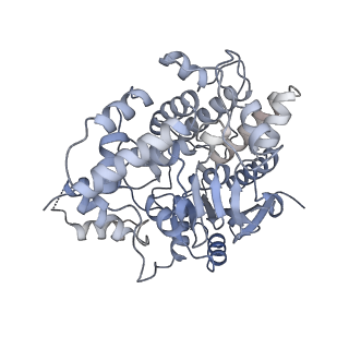 3551_5mrc_88_v1-2
Structure of the yeast mitochondrial ribosome - Class A
