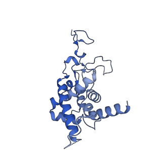 3551_5mrc_9_v1-2
Structure of the yeast mitochondrial ribosome - Class A