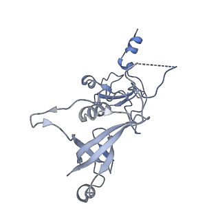 3551_5mrc_AA_v1-2
Structure of the yeast mitochondrial ribosome - Class A