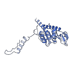 3551_5mrc_BB_v1-2
Structure of the yeast mitochondrial ribosome - Class A