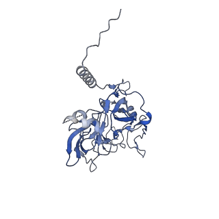 3551_5mrc_B_v1-2
Structure of the yeast mitochondrial ribosome - Class A