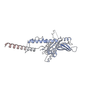 3551_5mrc_CC_v1-2
Structure of the yeast mitochondrial ribosome - Class A