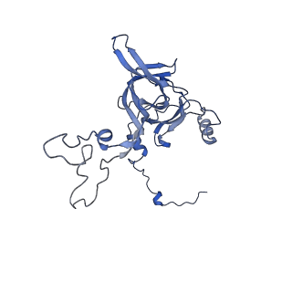 3551_5mrc_C_v1-2
Structure of the yeast mitochondrial ribosome - Class A