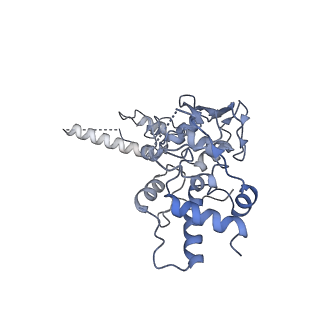 3551_5mrc_DD_v1-2
Structure of the yeast mitochondrial ribosome - Class A