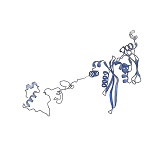 3551_5mrc_EE_v1-2
Structure of the yeast mitochondrial ribosome - Class A