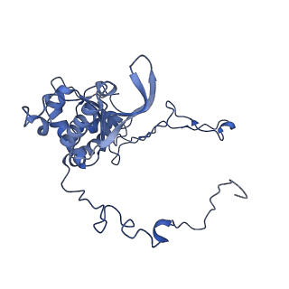 3551_5mrc_E_v1-2
Structure of the yeast mitochondrial ribosome - Class A