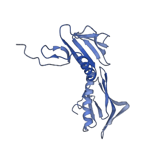 3551_5mrc_F_v1-2
Structure of the yeast mitochondrial ribosome - Class A