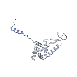 3551_5mrc_GG_v1-2
Structure of the yeast mitochondrial ribosome - Class A