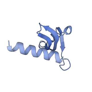 3551_5mrc_G_v1-2
Structure of the yeast mitochondrial ribosome - Class A
