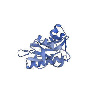 3551_5mrc_HH_v1-2
Structure of the yeast mitochondrial ribosome - Class A
