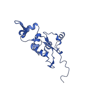 3551_5mrc_H_v1-2
Structure of the yeast mitochondrial ribosome - Class A