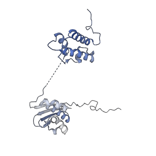 3551_5mrc_II_v1-2
Structure of the yeast mitochondrial ribosome - Class A