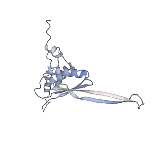 3551_5mrc_JJ_v1-2
Structure of the yeast mitochondrial ribosome - Class A