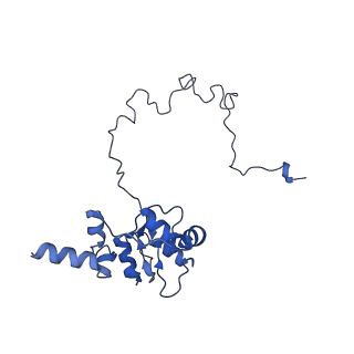 3551_5mrc_J_v1-2
Structure of the yeast mitochondrial ribosome - Class A