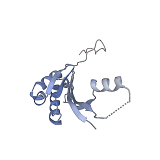 3551_5mrc_KK_v1-2
Structure of the yeast mitochondrial ribosome - Class A