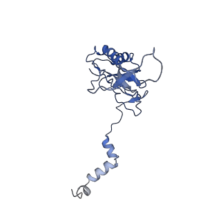 3551_5mrc_K_v1-2
Structure of the yeast mitochondrial ribosome - Class A