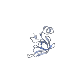 3551_5mrc_LL_v1-2
Structure of the yeast mitochondrial ribosome - Class A