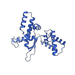 3551_5mrc_L_v1-2
Structure of the yeast mitochondrial ribosome - Class A