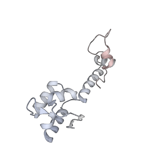 3551_5mrc_MM_v1-2
Structure of the yeast mitochondrial ribosome - Class A