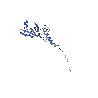 3551_5mrc_M_v1-2
Structure of the yeast mitochondrial ribosome - Class A