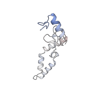 3551_5mrc_NN_v1-2
Structure of the yeast mitochondrial ribosome - Class A