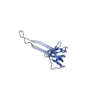 3551_5mrc_N_v1-2
Structure of the yeast mitochondrial ribosome - Class A