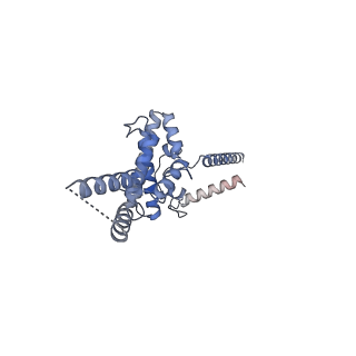 3551_5mrc_OO_v1-2
Structure of the yeast mitochondrial ribosome - Class A