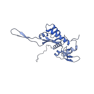 3551_5mrc_O_v1-2
Structure of the yeast mitochondrial ribosome - Class A