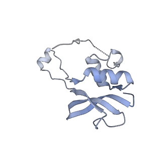 3551_5mrc_PP_v1-2
Structure of the yeast mitochondrial ribosome - Class A