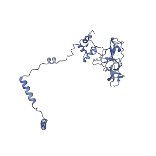 3551_5mrc_Q_v1-2
Structure of the yeast mitochondrial ribosome - Class A