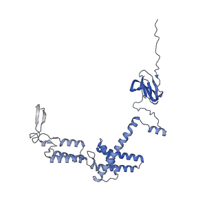 3551_5mrc_R_v1-2
Structure of the yeast mitochondrial ribosome - Class A