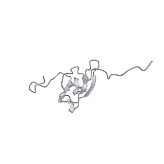 3551_5mrc_SS_v1-2
Structure of the yeast mitochondrial ribosome - Class A