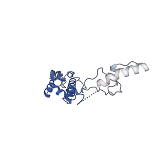 3551_5mrc_S_v1-2
Structure of the yeast mitochondrial ribosome - Class A