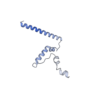 3551_5mrc_TT_v1-2
Structure of the yeast mitochondrial ribosome - Class A