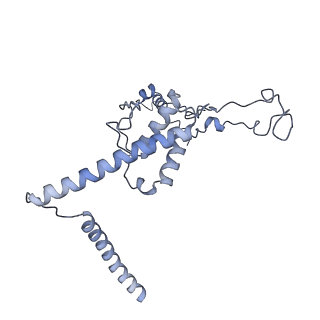3551_5mrc_UU_v1-2
Structure of the yeast mitochondrial ribosome - Class A