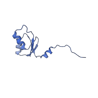 3551_5mrc_U_v1-2
Structure of the yeast mitochondrial ribosome - Class A