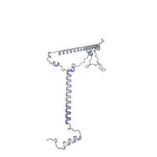3551_5mrc_VV_v1-2
Structure of the yeast mitochondrial ribosome - Class A