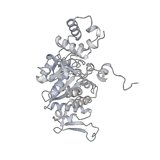 3551_5mrc_WW_v1-2
Structure of the yeast mitochondrial ribosome - Class A