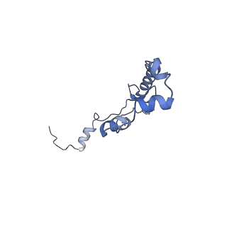 3551_5mrc_W_v1-2
Structure of the yeast mitochondrial ribosome - Class A