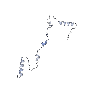3551_5mrc_XX_v1-2
Structure of the yeast mitochondrial ribosome - Class A