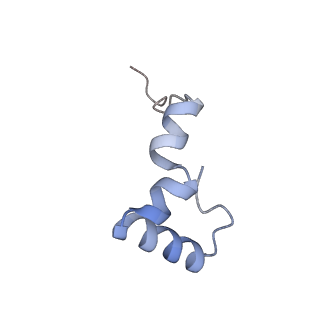 3551_5mrc_Y_v1-2
Structure of the yeast mitochondrial ribosome - Class A