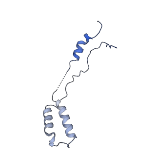 3551_5mrc_ZZ_v1-2
Structure of the yeast mitochondrial ribosome - Class A