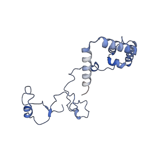 3551_5mrc_a_v1-2
Structure of the yeast mitochondrial ribosome - Class A