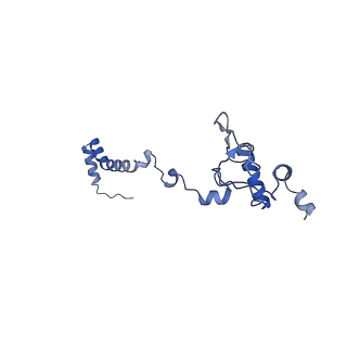 3551_5mrc_b_v1-2
Structure of the yeast mitochondrial ribosome - Class A